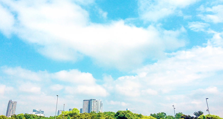 株式会社サンドリーム 葛飾区のグループホーム 小規模多機能居宅介護 デイサービス